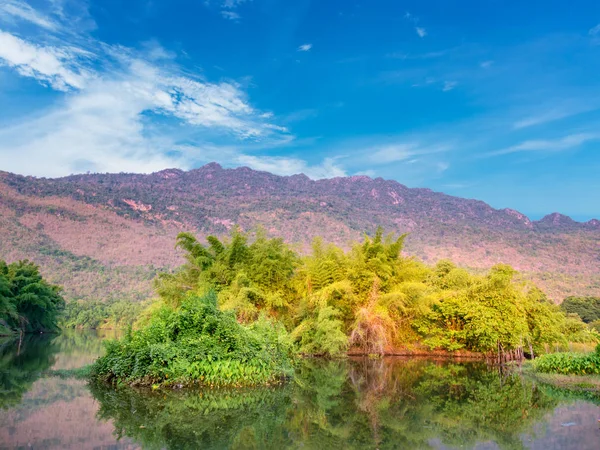 Árbol en río con montaña y azul — Foto de Stock