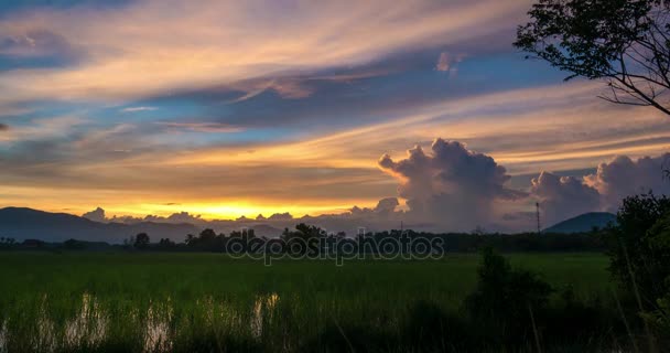 Passage nuage au crépuscule avec ciel coloré sur le champ de riz — Video