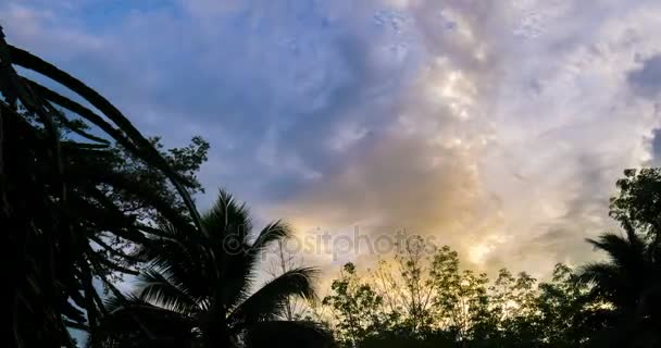 Passando nuvens com silhueta de árvore de manhã — Vídeo de Stock