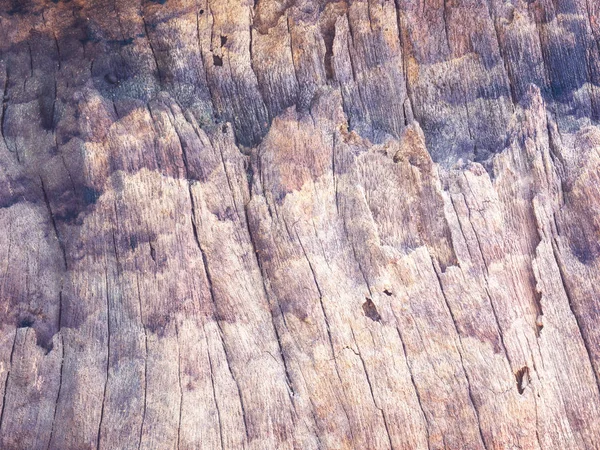 Текстура и фон старого бревна — стоковое фото