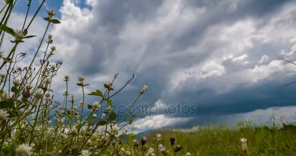 Passage des nuages sur les prairies Dans l'après-midi 