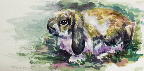 Акварель милого кролика на бумаге — стоковое фото