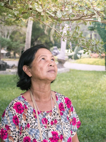 Close up senior thai woman portrait look up to twig — Stock Photo, Image