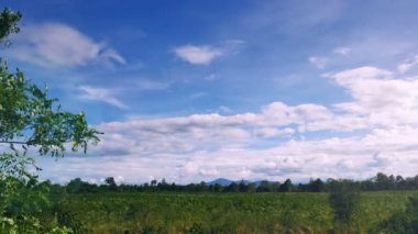 Ağacın yanında tarım alanı mavi gökyüzü ve dağ manzaralı bir öğleden sonra Tayland sallanan