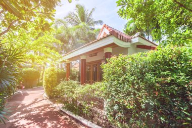 Yeşil bitki ve ağaç, Tayland arasında başvurmak