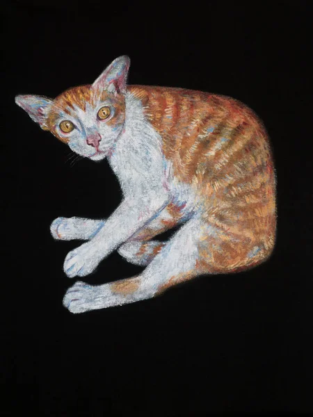 Pintura acrílica de gato lindo en tela — Foto de Stock