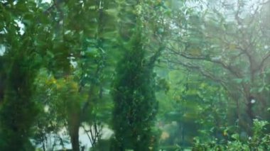 Yağmur dışında yapmaktan camına su akan bulanık bahçe içinde ağaç görünümü