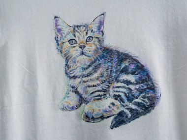 Şirin kedi kumaş üzerine akrilik boya