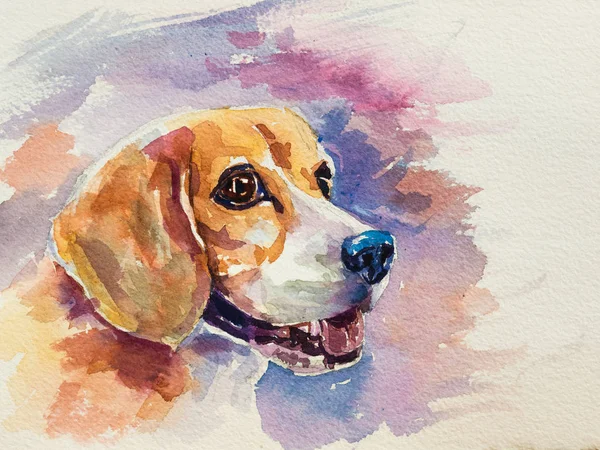 Watercolor Painting Portrait Adorable Beagle White Paper — Stock Photo, Image