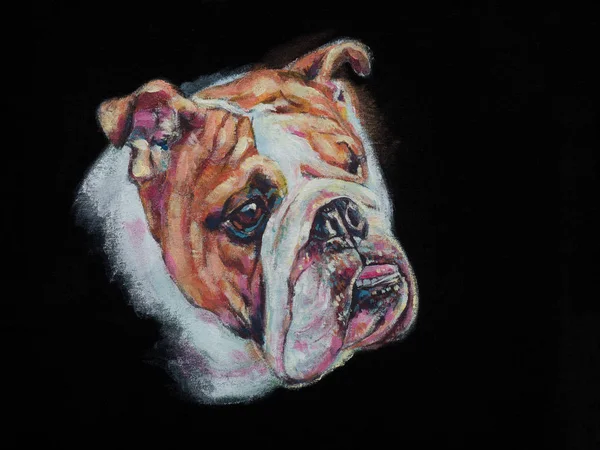 Acrylmalerei Bulldogge auf schwarzem Stoff — Stockfoto