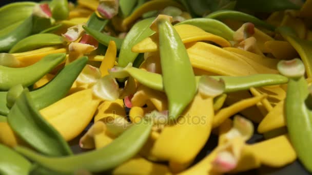 Heap Pétala Flor Ylang Ylang Fundo Preto Panning Tiro — Vídeo de Stock