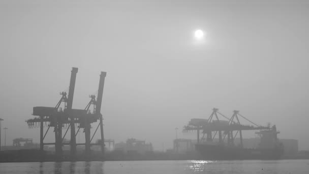 View Shipping Yard Mist Morning Thailand Black White Tone — стоковое видео