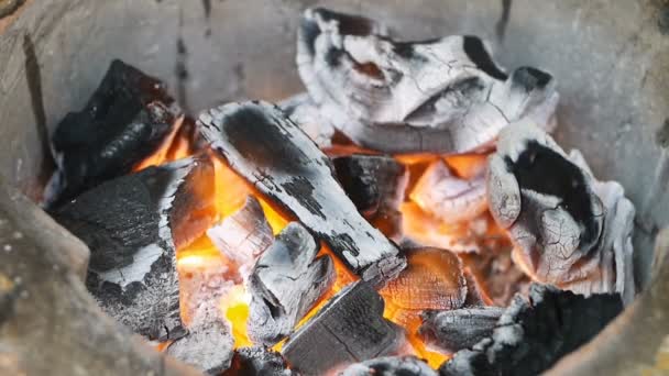 Close Burning Charcoal Stove — Stock Video