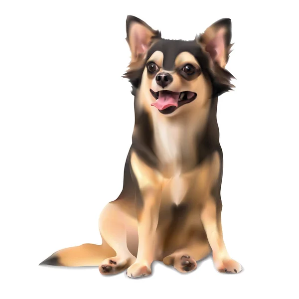 Chihuahua Perro Sentado Pose Aislado Sobre Fondo Blanco Vector Ilustración — Vector de stock