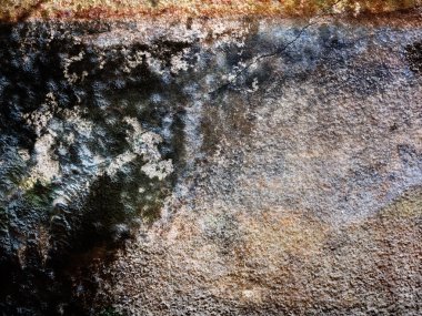 Kurutulmuş yosun ve turuncu ışık, vintage tarzı ile doku çimento duvar arka plan