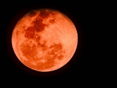 Bloodmoon or red moon,a natural phenomenon, on dark sky clipart