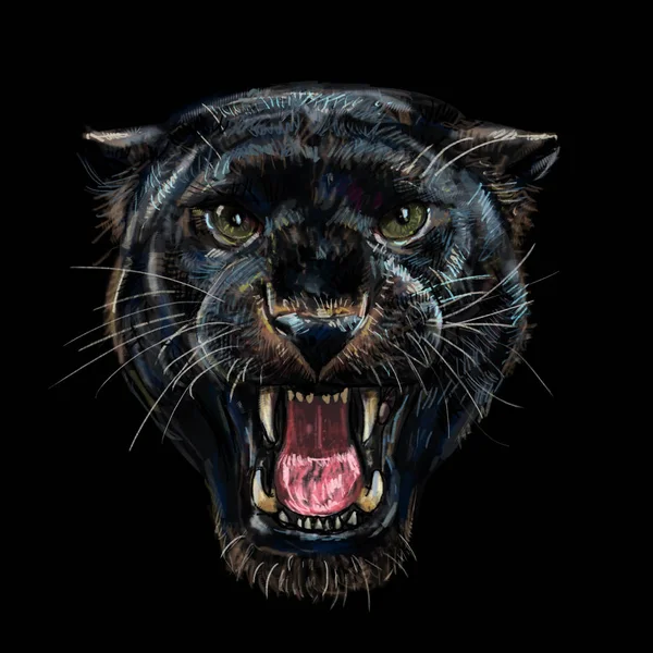 Roaring black panther on black background — Stock Photo, Image