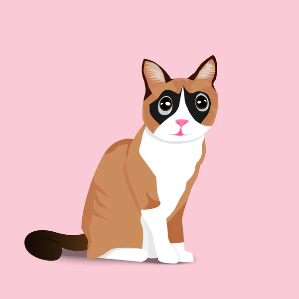 Entzückende sitzende braune Katze auf rosa Hintergrund — Stockvektor