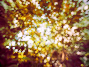 soyut renkli bokeh arkaplanı