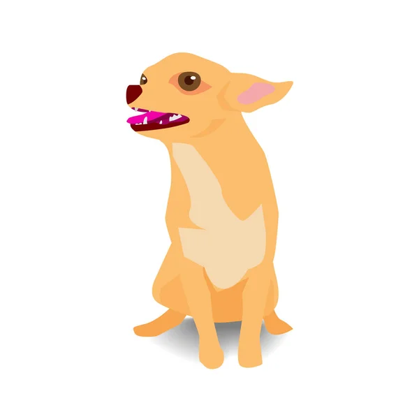 Cão Chihuahua Adorável Pose Sentada Com Sombra Fundo Branco — Vetor de Stock