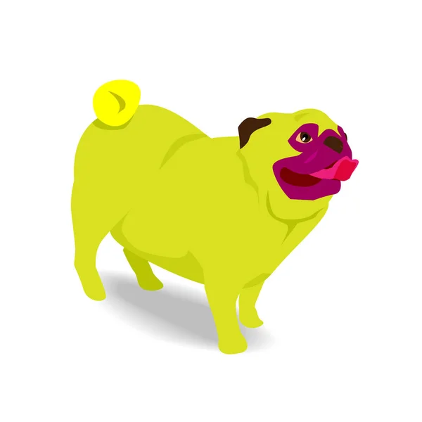 Žlutá Mops Pes Vyplázni Jazyk Stínem Bílém Pozadí — Stockový vektor