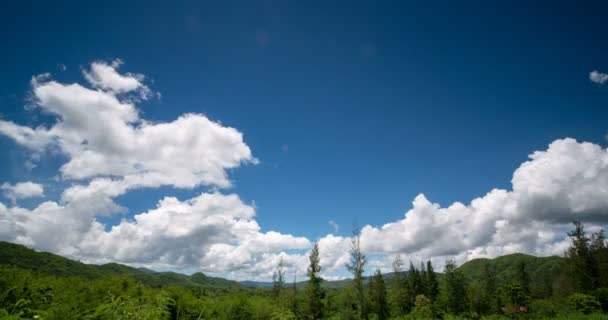 Timelapse Nuvens Passageiras Com Céu Azul Sobre Árvore Montanha Tiro — Vídeo de Stock