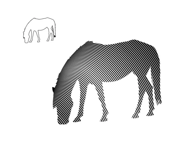 Arte de línea de caballo comiendo hierba sobre fondo blanco — Vector de stock