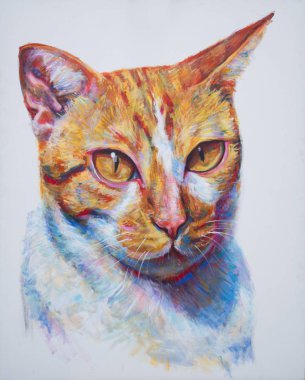 Tuvale zencefilli kedi portresi çizmek.