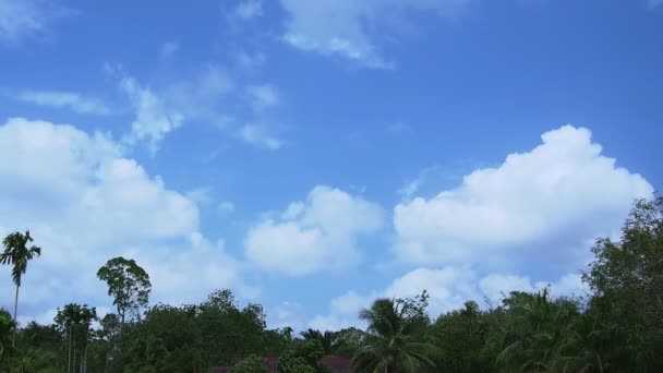 Slowly Passing Cloud Vivid Blue Sky Afternoon Tree — 图库视频影像