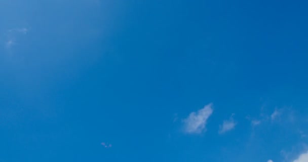 Timelapse Nube Que Pasa Con Cielo Azul Vivo Tarde — Vídeos de Stock