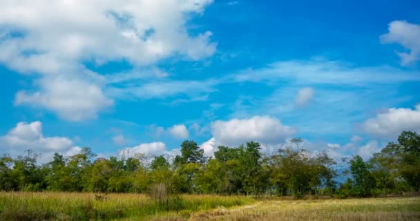 泰国时间过去了 乌云密布 蓝蓝的天空笼罩着田野和一排树木 — 图库视频影像