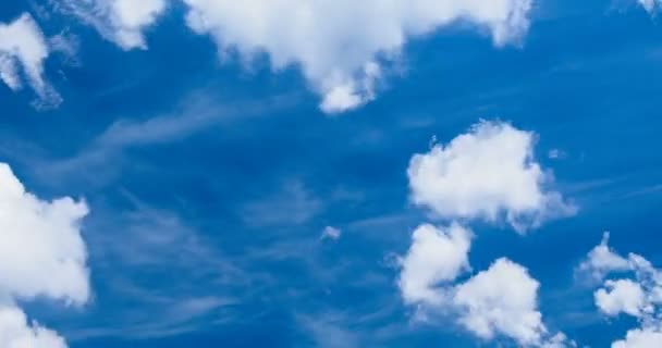 Timelapse Passing Cloud Vivid Blue Sky Afternoon — 图库视频影像
