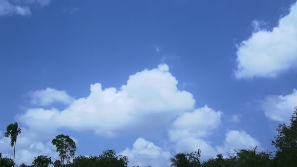 Långsamt Passerar Moln Med Levande Blå Himmel Eftermiddagen Över Träd — Stockvideo
