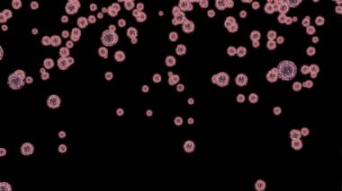 Sayısız korona virüsü, siyah zemin üzerinde covid-19. Bulaşıcı hastalık ve yayılma. 3 Boyutlu Canlandırma.