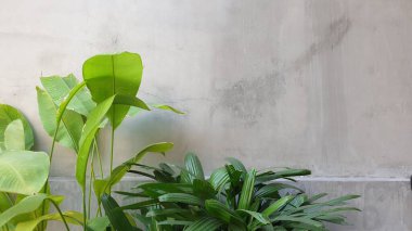 Beton duvar veya zemin dokusu arkaplanı