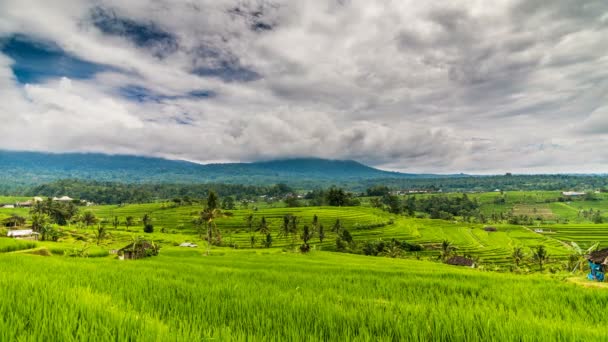 Terraço de arroz e montanhas lapso de tempo — Vídeo de Stock