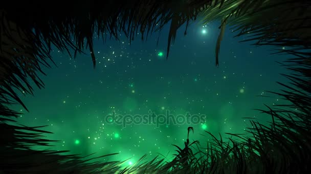 Gras in der Nacht mit Glühwürmchen Schleife — Stockvideo