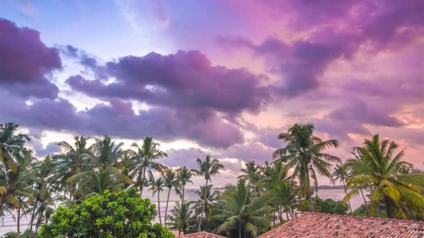 Colorful cloudy sunset with palms time lapse — Stok video