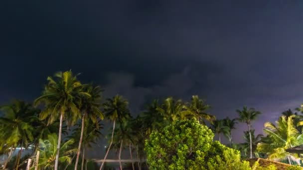 Night storm over palms beach time lapse — Stok video