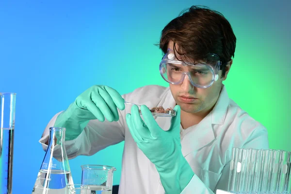 Young Scientist Testing Meat — Stock Photo, Image