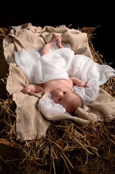 Odpoczynek w żłobie Jezusa — Zdjęcie stockowe