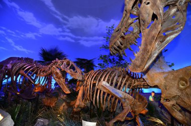 Dinozor sergi Çocuk Müzesi'nde