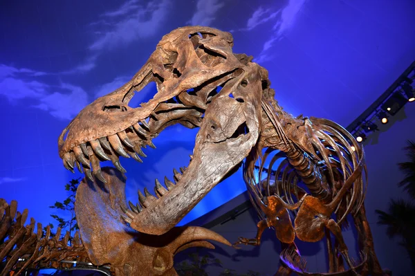 Dinosaur Exhibit at the Children's Museum in Indianapolis — Stock Photo, Image