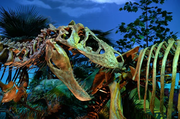 Dinosaur Exibit at the Indianapolis Children's Museum — Stock Photo, Image