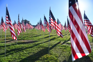 Valor Saint Louis Sanat Müzesi dışında bayrakları