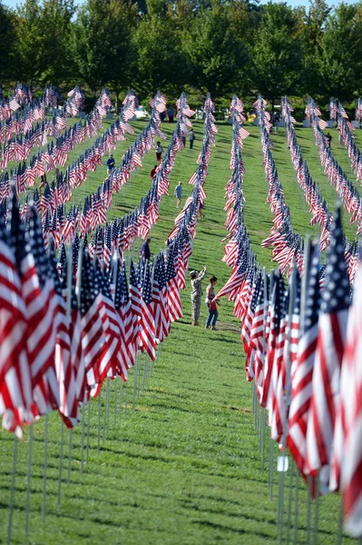 Flag af Valor uden for Saint Louis Art Museum - Stock-foto