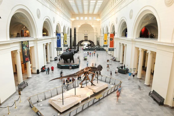 Field Museum a Chicago — Foto Stock