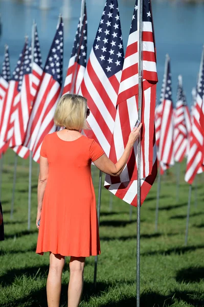 Flag af Valor uden for Saint Louis Art Museum - Stock-foto