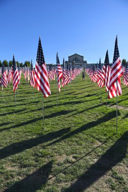Valor Saint Louis Sanat Müzesi dışında bayrakları