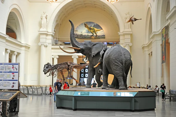 Field Museum of Natural History en Chicago — Foto de Stock